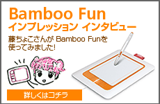 藤ちょこBamboo Fun　インプレッション インタビュー